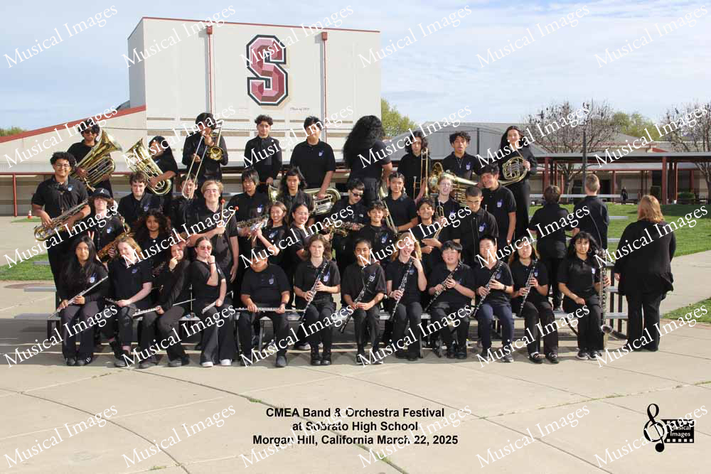 Musical Images